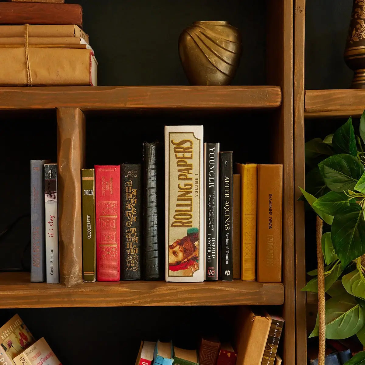 Zig-Zag stash book disguised as rolling papers packaging displayed on a wooden bookshelf among other books and decor.